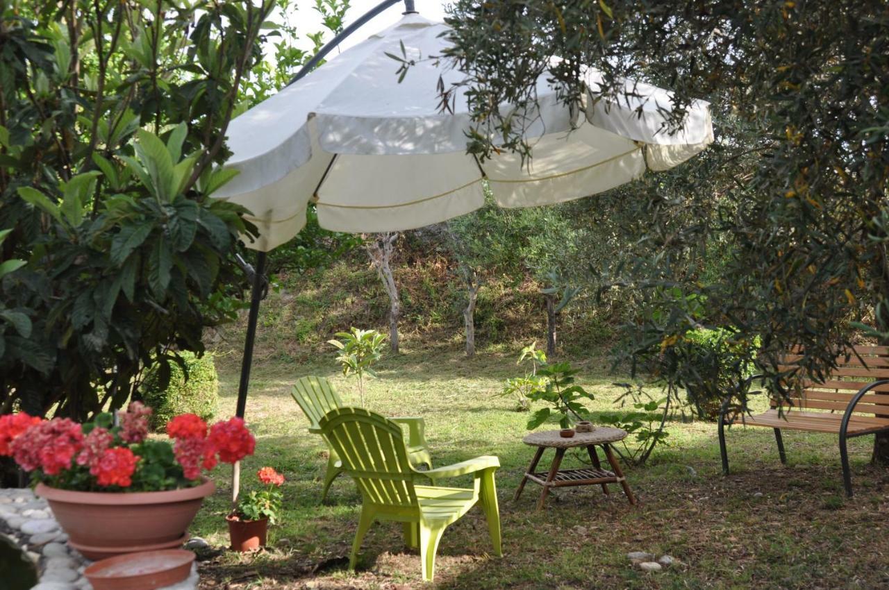 Villa Lidia Паола Екстер'єр фото